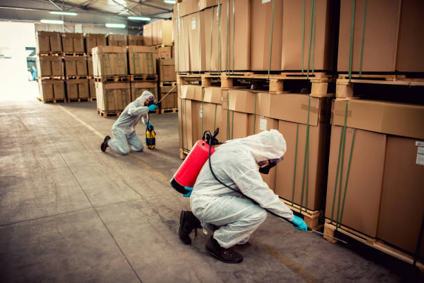 Best Pest Removal Services  in Okemos, MI