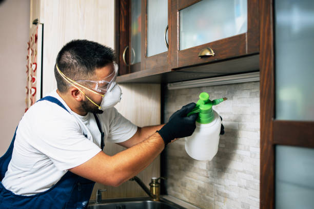 Best Pest Removal Services  in Okemos, MI