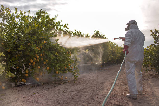 Best Insect Control  in Okemos, MI