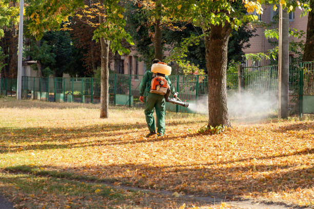 Best Termite Control Services  in Okemos, MI