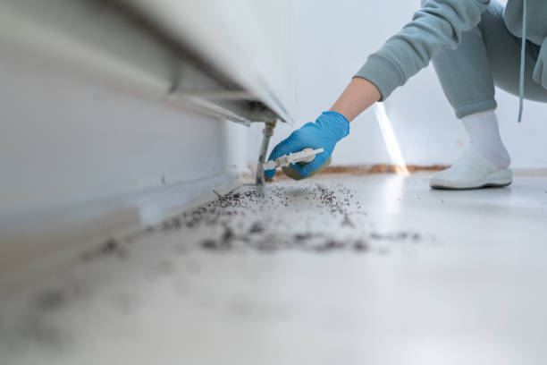 Best Affordable Pest Control Services  in Okemos, MI