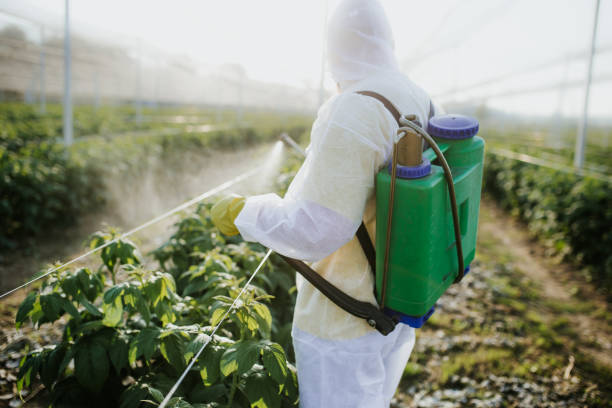 Pest Prevention Services in Okemos, MI